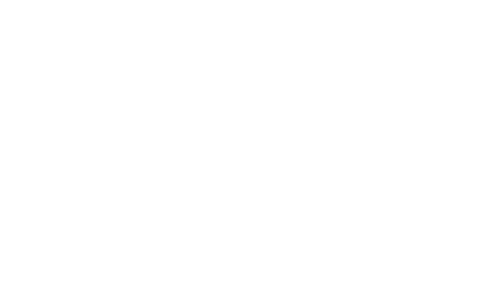Celik